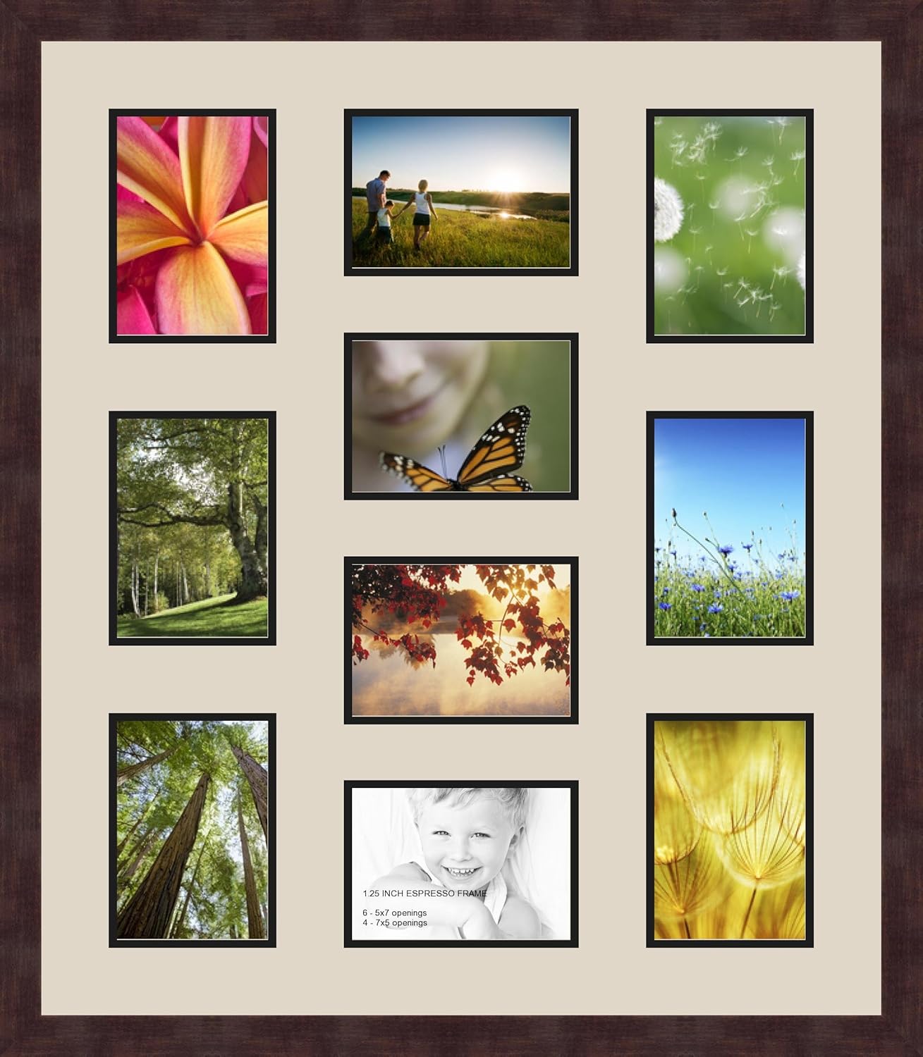 High Quality Merchandise And Convenient Honest Service Art To Frames Double Multimat 444 844 Frbw Collage Frame Photo Mat Double Mat With 10 5x7 Openings And Espresso Frame Single Frames Get The Latest Csdcanteen Com