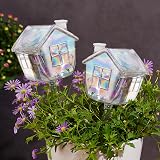 NiHome Hand-Blown Glass Plant Self Watering Globes 2-Pack 9oz Capacity Igloo
