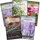 Sow Right Seeds - Medicinal Herb Seed Collection for Planting Tea Garden | Includes Chamomile, Coneflower, Lavender, Hyssop, Bergamot. Plant perennial non-GMO heirloom varieties for outdoor gardening.