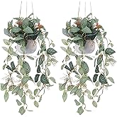 Funzhan 2pcs Small Artificial Hanging Plants Fake Hanging Plant with Pot Plants Indoor Decor Faux Greenery Hanging Vines Potted for Bedroom Shelf Outdoor Garden Decoration