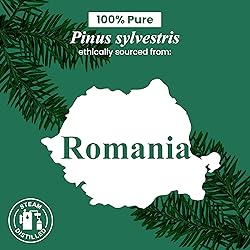 Handcraft Blends Pine Essential Oil – 1 Fl Oz