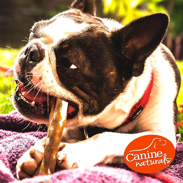 CANINE NATURALS PEANUT BUTTER CHEW – RAWHIDE FREE AND DOG TREATS – MADE FROM REAL PEANUT BUTTER – ALL-NATURAL AND EASILY DIGESTIBLE – 40 PACK OF 5 INCH STICK CHEWS