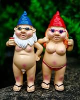Senders Garden Gnome 2Pcs Naughty Funny Resin Statue Outdoor Lawn Decor view 2