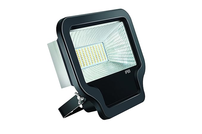 Eveready Explorer 30-Watt LED Flood Light (Black)