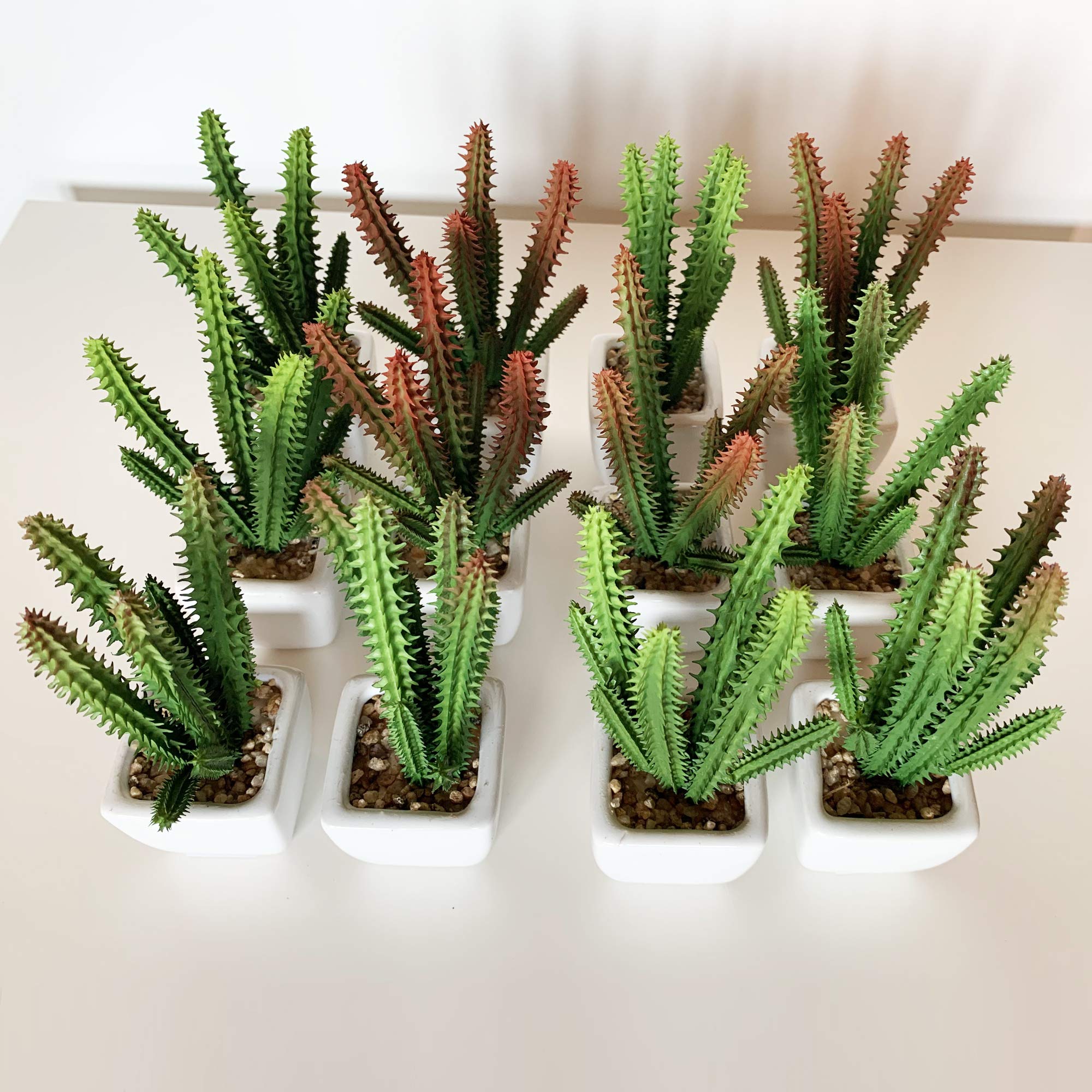 WELLHOME 12 Cactus kañanchoe Artificial Assorted with Potterpot, Pack 6 St020, 9x5x5 cm