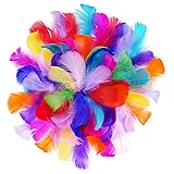 obmwang 100 Pieces 8-12cm Natural Goose Feathers