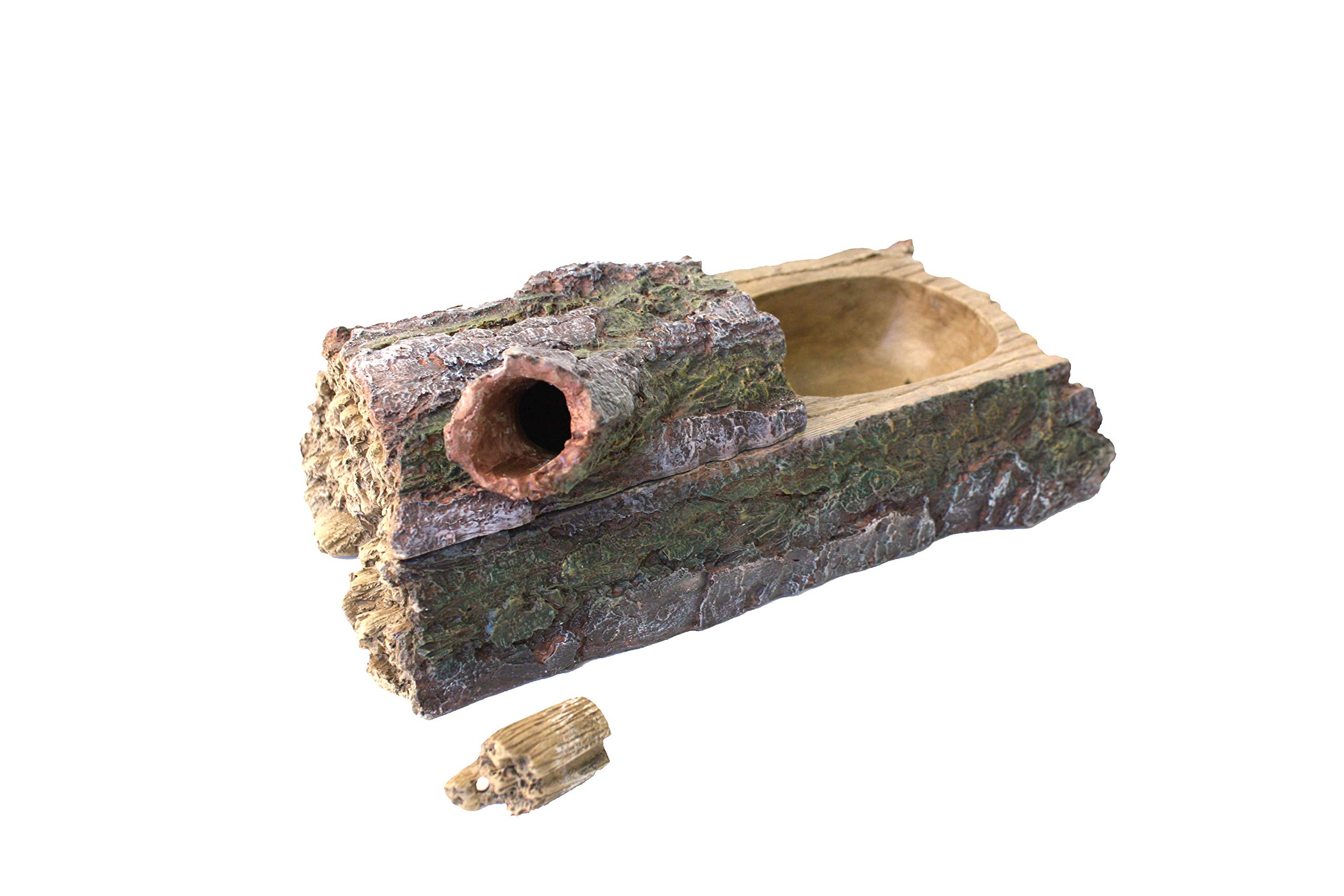 Komodo Forest Dual Feeder Lizard Feeding Station Encourages Natural Feeding & Appetite Behaviour for All Life Stages