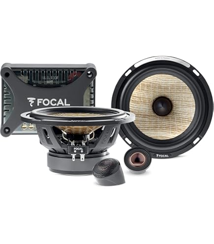 Amazon.com: Focal 165VB 6.5