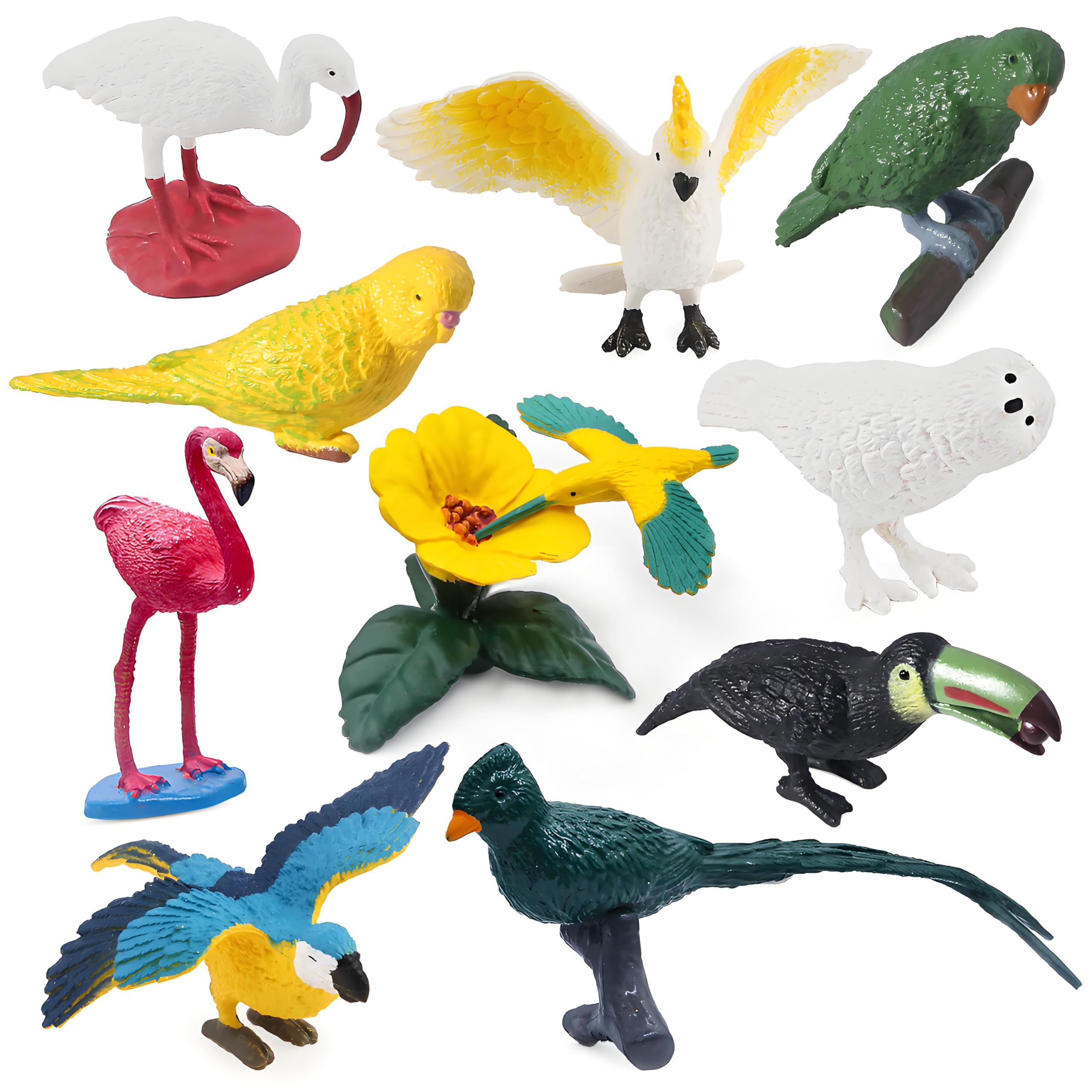 SIENON 10Pcs Mini Birds Figures, Miniature Realistic Bird Animal Toys Figurines, Plastic Model Flamingo, White Ibis, Parrots, Hummingbird Educational Toy Cake Decorations