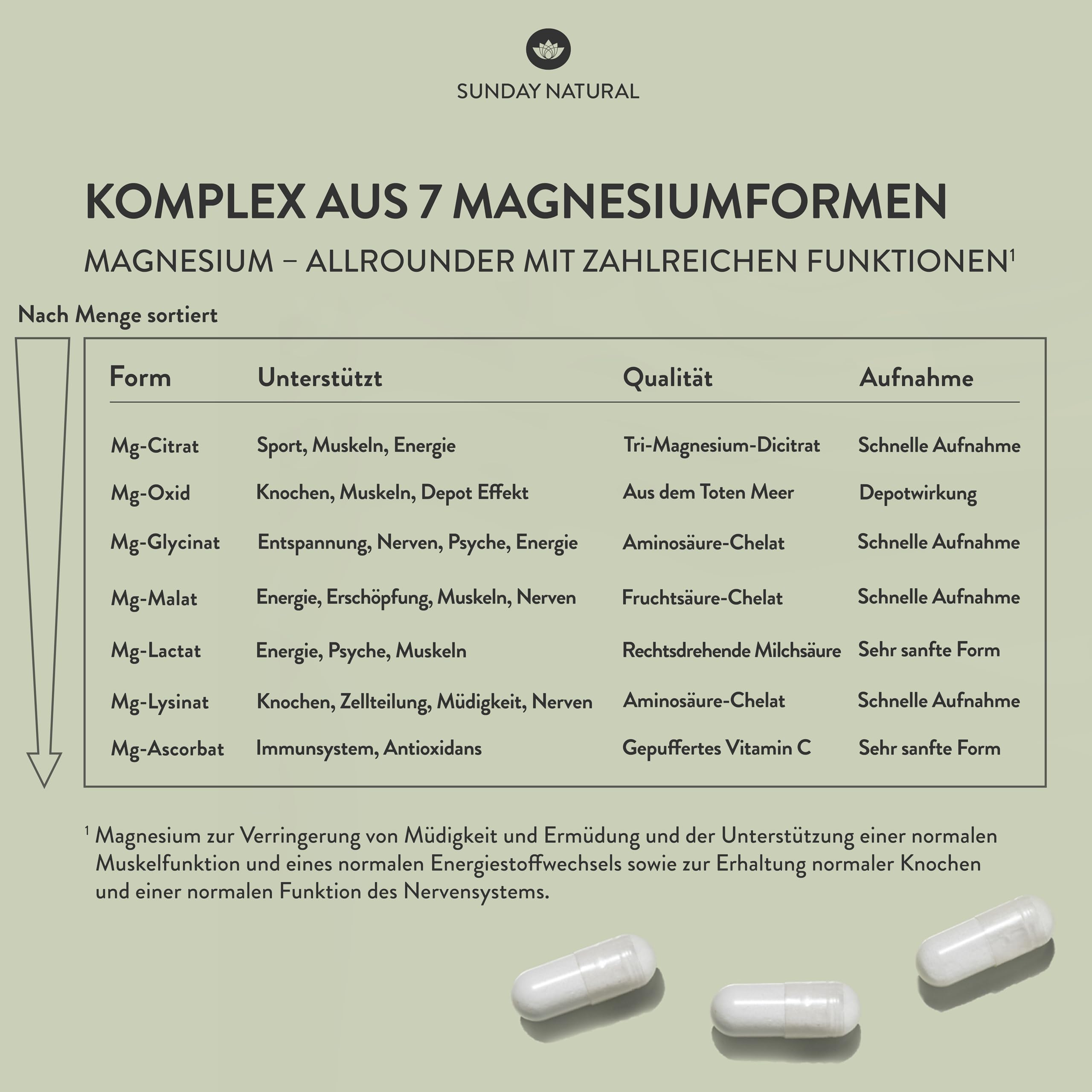 SUNDAY NATURAL® Magnesium Komplex – 240 Kapseln - 400mg pro Tag - aus 7 Verbindungen: Magnesium Bisglycinat, Citrat, Malat, Laktat, Ascorbat, Oxid, Lysinat - Vegan, laborgeprüft 3