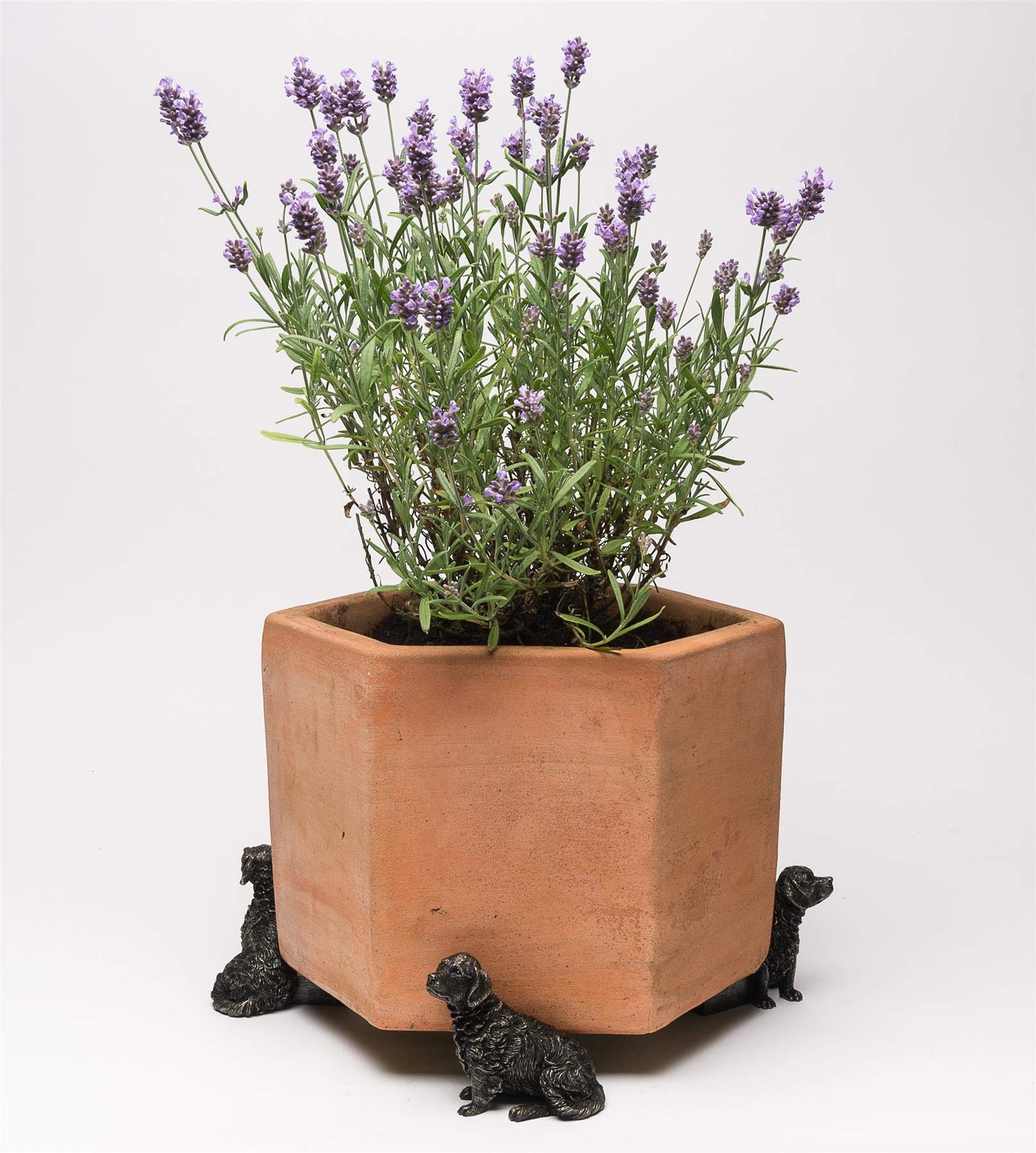 Potty Feet Retriever Figures Plant Pot Feet - Planter Support - Handmade Decorative Ornaments - 3pcs