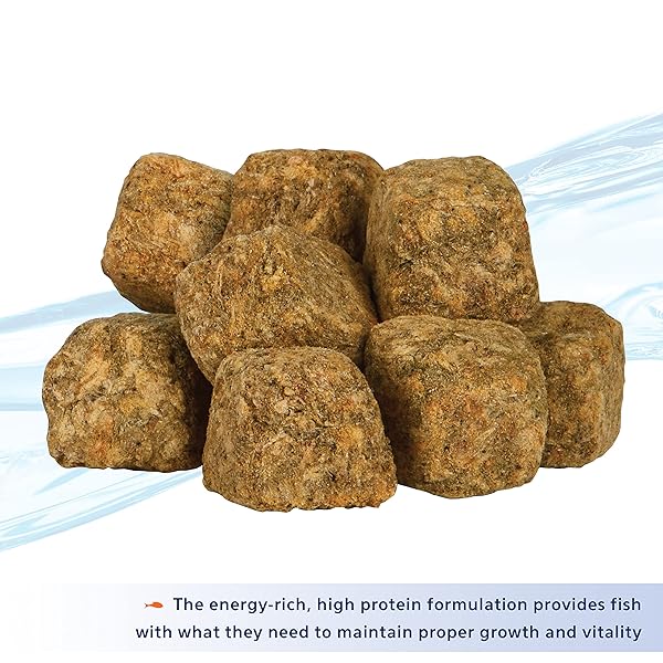 AQUEON STICK’EMS FREEZE-DRIED COLOR BOOSTING PET FISH TREAT , 0.42 OZ