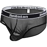ZAIGGUT Mens Sexy Briefs Low Rise See Through Underwear for Men Breathable Mesh Sheer Lace