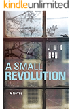 A Small Revolution