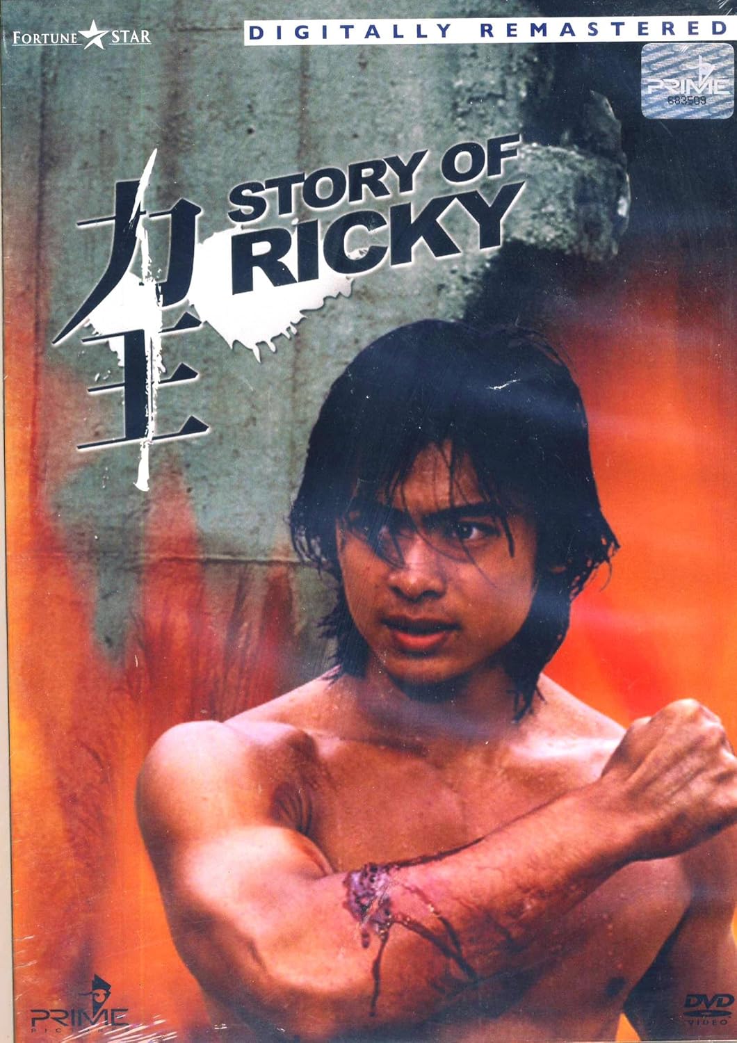 Story Of Ricky Amazon.co.uk SiuWong Fan, Mei Sheng Fan, KaKui Ho, Johnathan Chow, Ngai Choi