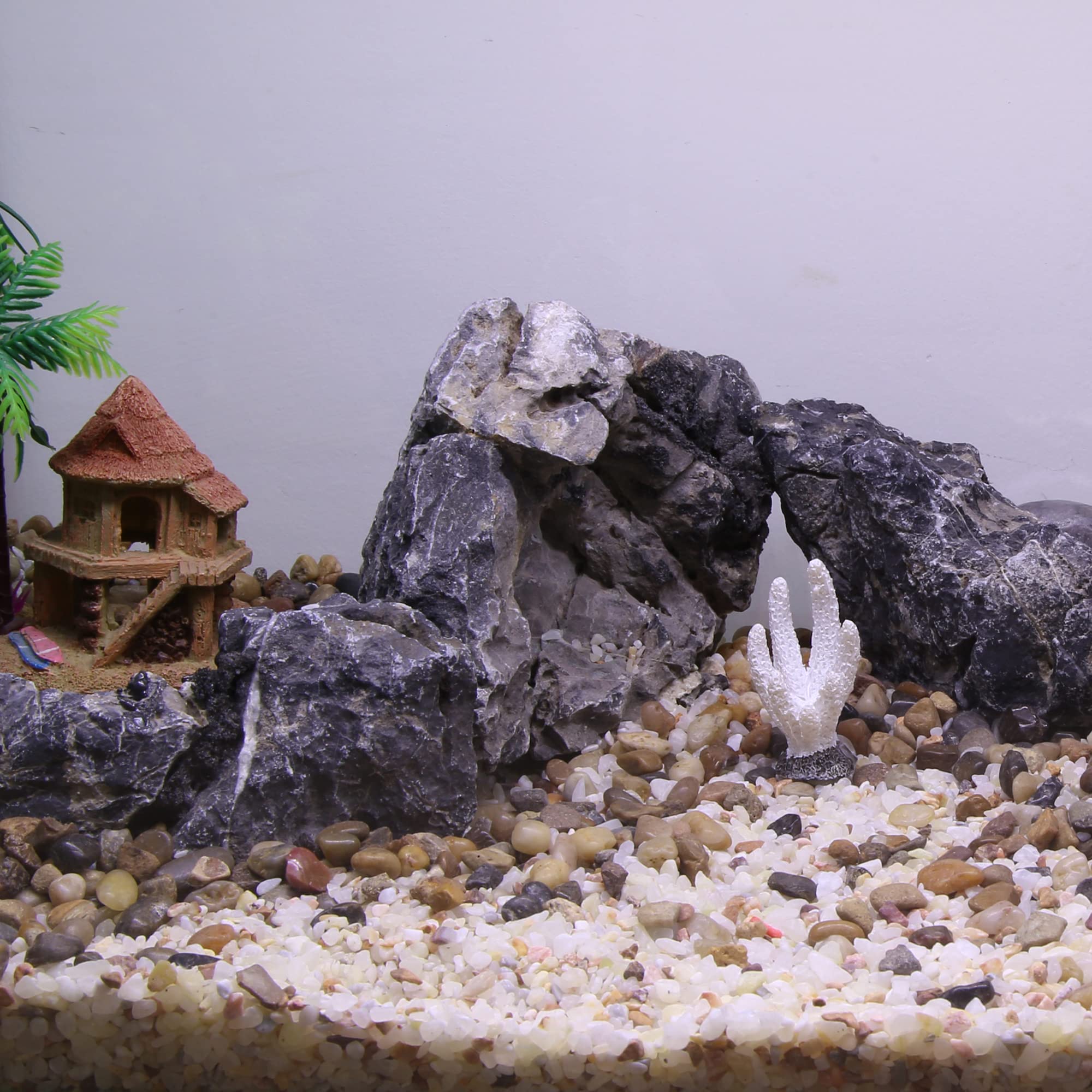 View 2