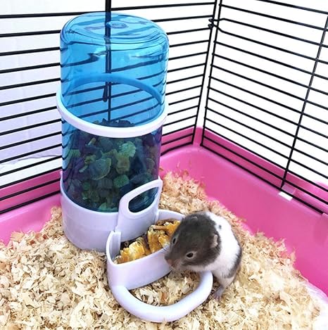 Amazon Com Cydnlive Automatic Pet Feeder Hamster Hedgepig