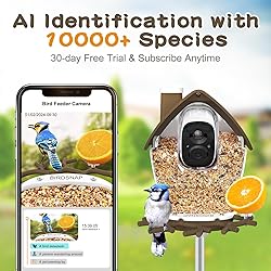 birdsnap® MON - Smart Bird Feeder with Camera, 2K