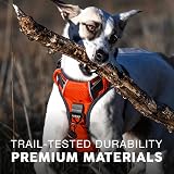 Embark Pets Adventure Dog Harness XL Orange Front Back Leash Attachments view 6