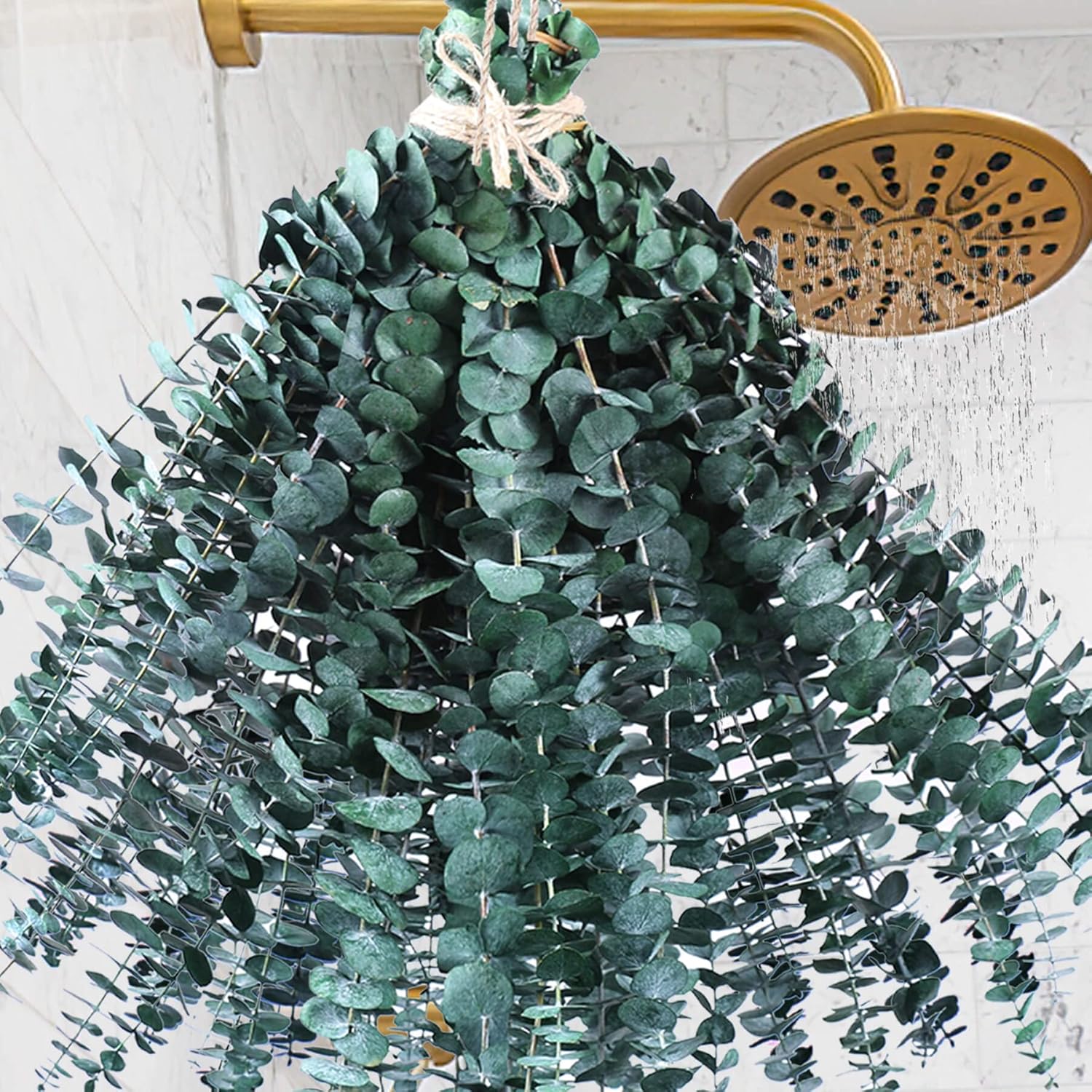 Dried & Preserved Flora - 48 PCS Large Dried Preserved Eucalyptus Stems for Shower - 100% Natural Fresh Eucalyptus Plant, Hanging Real Eucalyptus Leaves Bundle for Self-Care Shower, Dried Flowers Vase Arrangement Home Decor