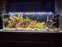 6 Gallon Low Iron Glass Bookshelf Aquarium 5mm
