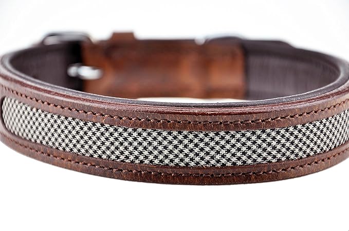 title=Schnüffelfreunde Collare per cane in pelle | Collari per cani in cuoio genuino