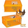 lukar Poultry Carrier Crate Plastic Chicken Transport Cage Heavy Duty Chicken Crates Transport Box for 10-13 Adult Chickens Duck Goose Birds, 29.5 x 21.7 x 13 Inch