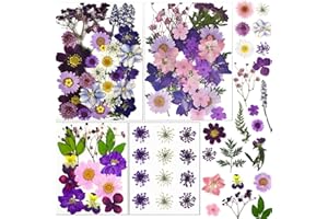 LUCISKY 92 Pcs Purple Dried Pressed Flowers Real Natural Leave Petals for DIY Resin Candle Jewelry Nail Crafts