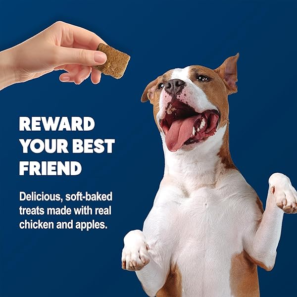 BLUE BUFFALO BENEBARS DIGESTIVE SUPPORT DOG TREATS WITH PREBIOTIC FIBER, MADE WITH NATURAL INGREDIENTS, USA CHICKEN & APPLE, 9-OZ BAG