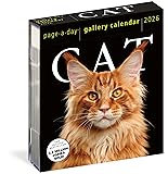 Cat Page-A-Day® Gallery Calendar 2026: A