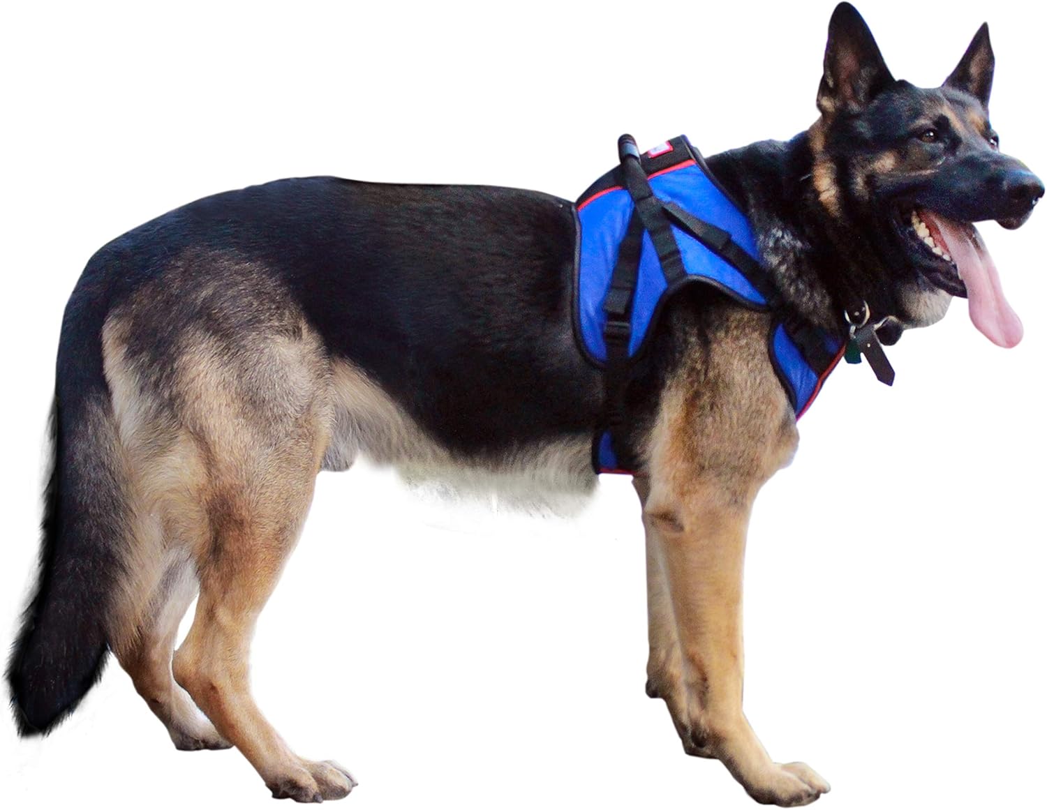 dog harness with wheels
