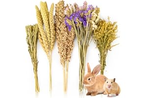 Sukh Natural Hamster Bedding Sprays - Foraging Habitat Decor Cage Accessories, Hideout Enrichment for Dwarf & Syrian Hamsters, Gerbils, Mice and Other Small Animals