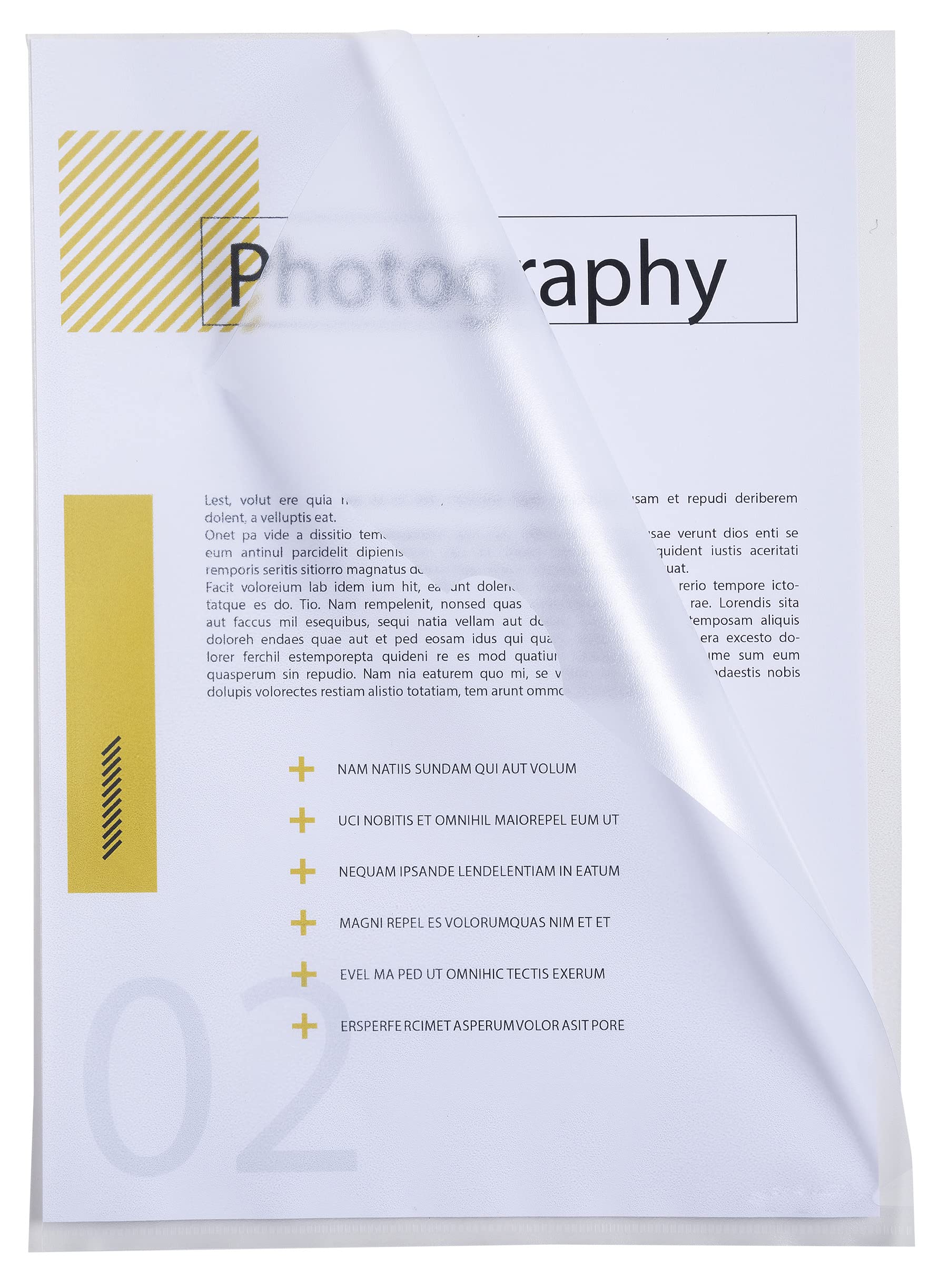 Exacompta - Ref. 57120E - Bag of 100 corner pockets - In economical grained polypropylene - Thickness 9/100th - Format to file A4 - Crystal