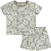 Gerber baby-boys Toddler T-shirt and Shorts Set
