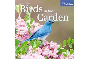 Audubon Birds in the Garden Wall Calendar 2026: Use Native Plants to Attract Birds and Pollinators to Your Backyard