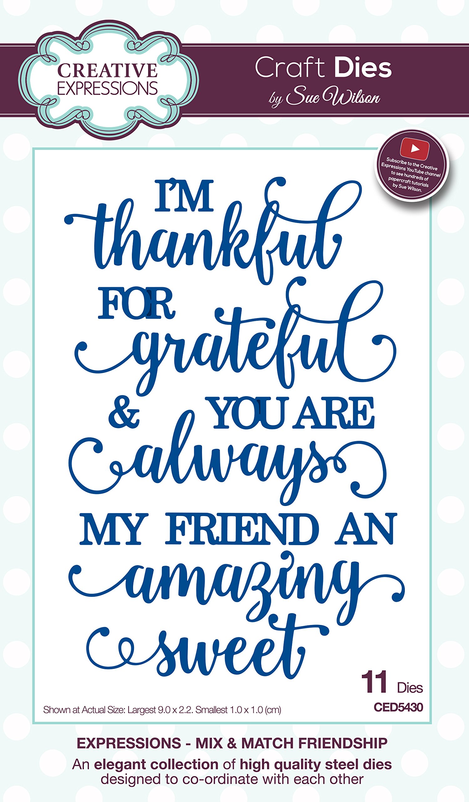 Sue Wilson Expressions Mix & Match Friendship, Metal, Silver, 27.7 x 18 x 0.6 cm