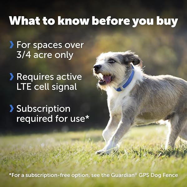 PETSAFE GUARDIAN GPS + TRACKING DOG FENCE COLLAR WIRELESS DOG FENCE WITH REAL-TIME TRACKING MOST RELIABLE GPS FOR YARDS OVER 3/4 ACRES SUBSCRIPTION REQUIRED – FOR MEDIUM AND LARGE DOGS