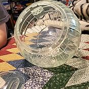 eugene talmond hamster ball