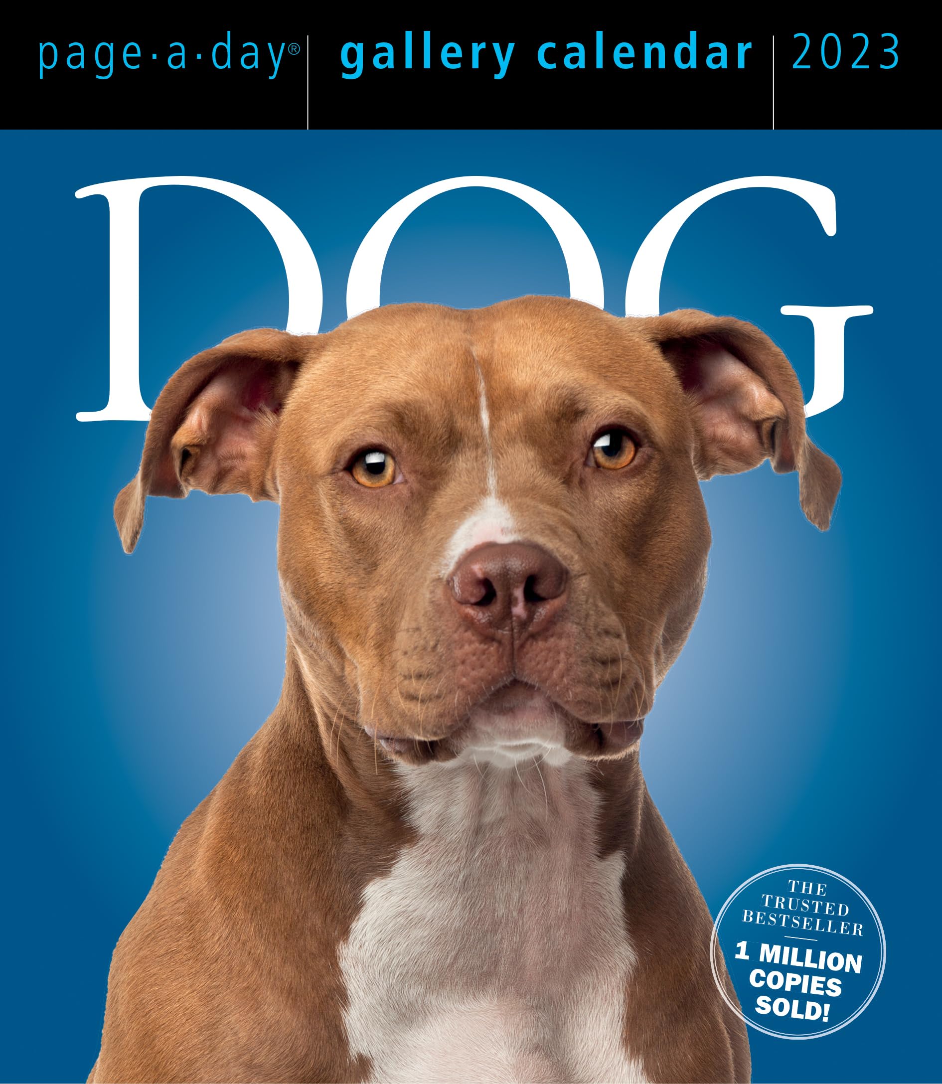 Dog Page-A-Day Gallery Calendar 2023: An Elegant Canine Celebration