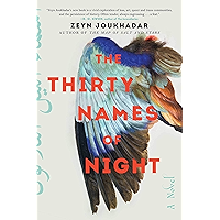 The Thirty Names of Night: A Novel book cover The Thirty Names of Night: A Novel book cover