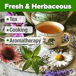 HOME GROWN Medicinal Herb Seeds Vault