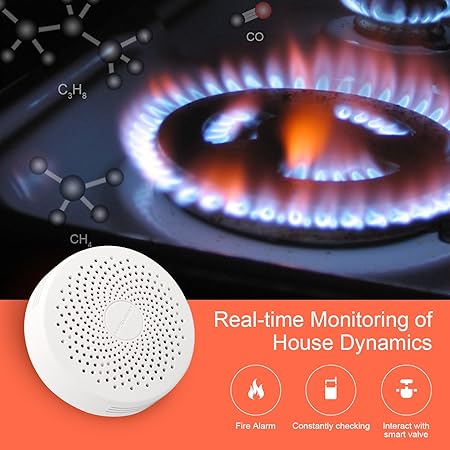 Detector de fugas de gas inteligente WiFi de propano, butano ...