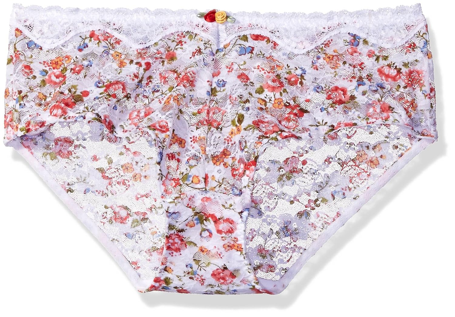 Lunaire Womens Plus Size St Lucia Stretch Lace Hipster