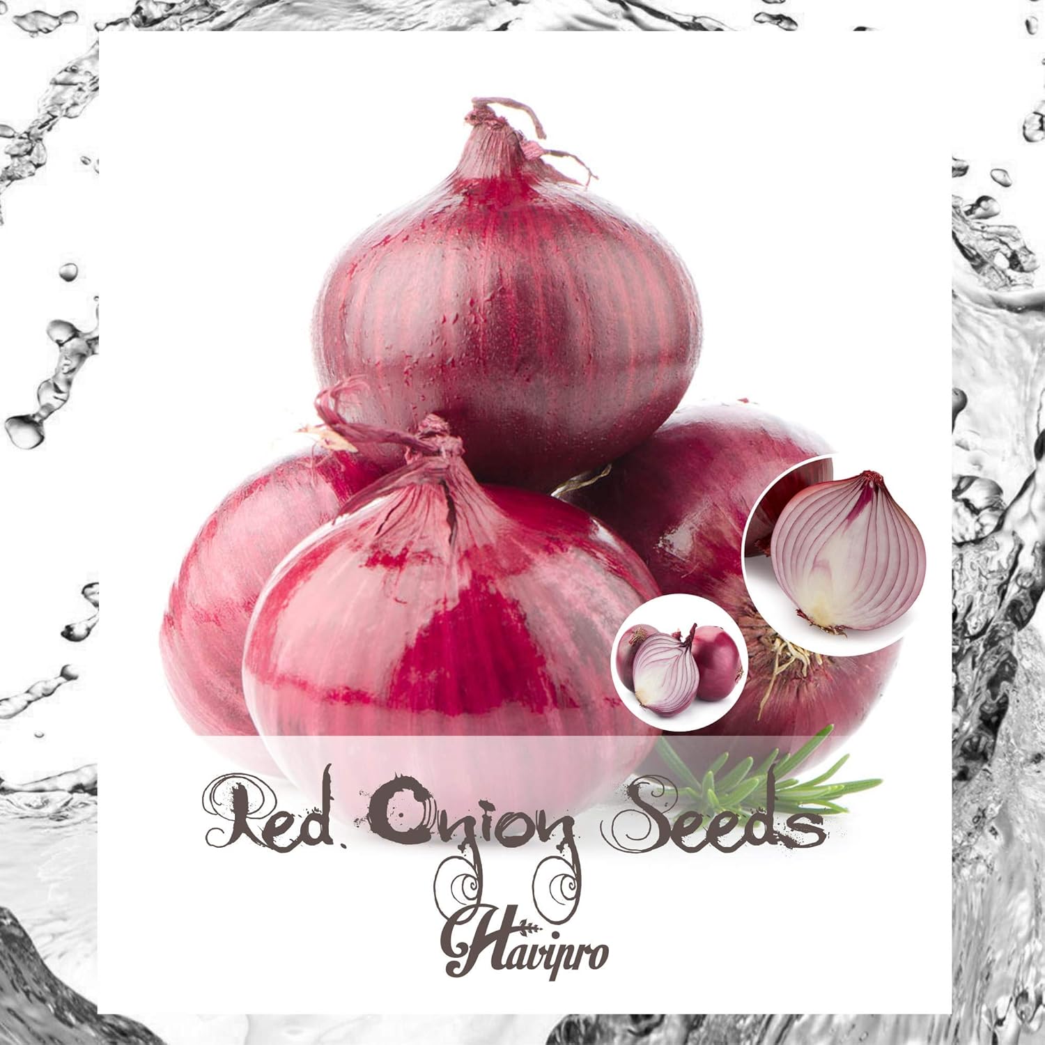 ALEXI Red Onion Seeds Sweet Red Onion Seeds for Planting High Germination Rate