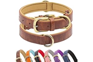 HSIGIO Padded Leather Dog Collar, Soft Breathable Adjustable Waterproof Dog Collar Leather with Durable Metal Buckle for Smal