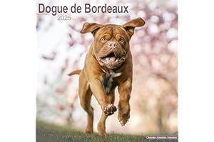 Dogue de Bordeaux Calendar 2025 | Square Dog Breed Wall Calendar - 16 Month