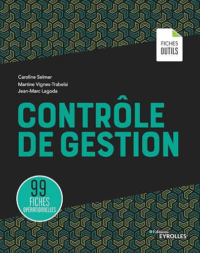 Download Contrôle de gestion: 99 fiches opérationnelles (Les fiches outils) PDF