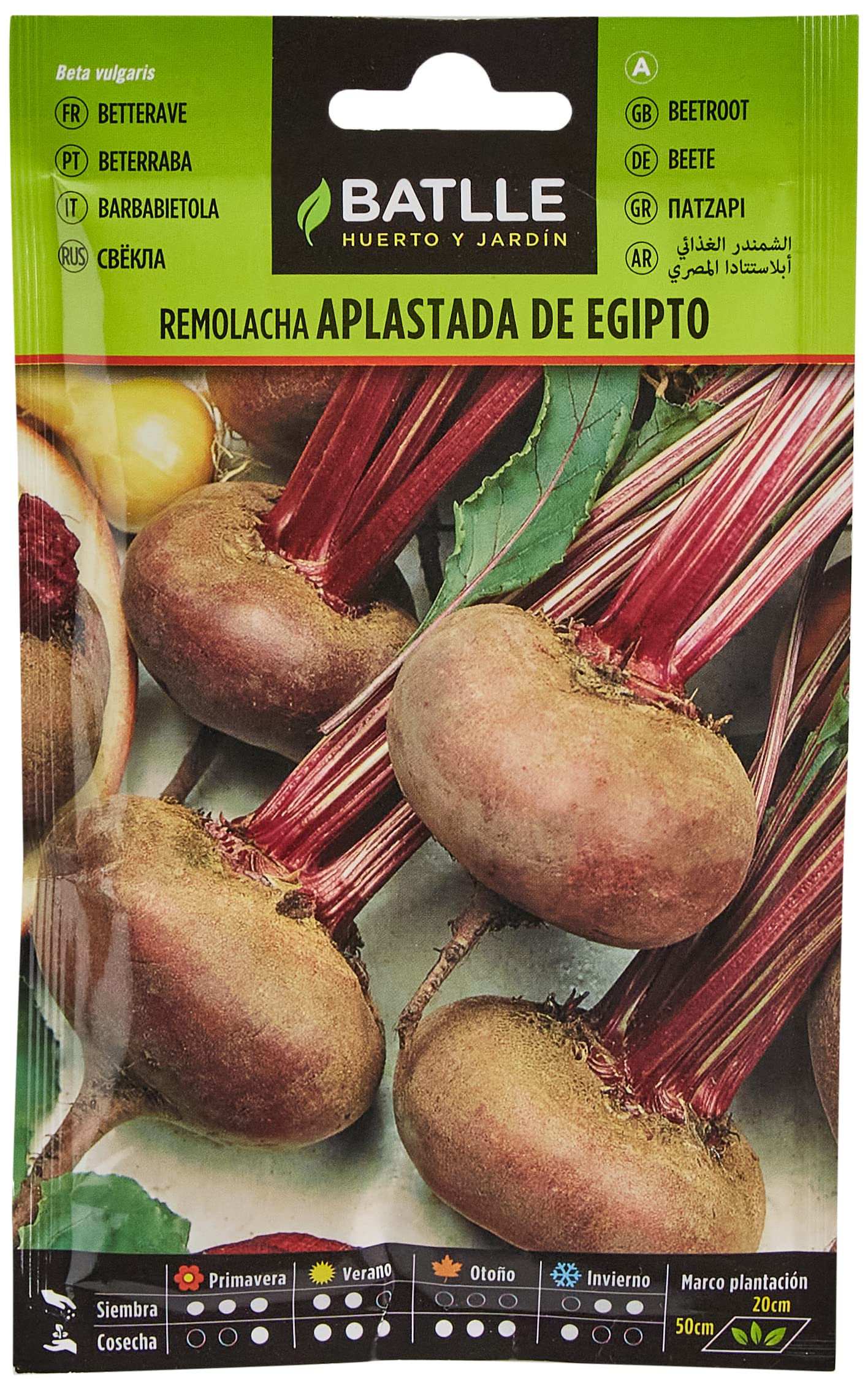 Seeds Batlle – Beetroots Flat of Egypt Beet 10 gramos