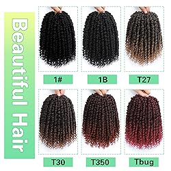 Ameli Passion Twist Crochet Hair 10Inch Passion