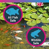 NT Labs Pond Eradick 1 Litre Parasite & Fungus Treatment for Pond Fish view 5
